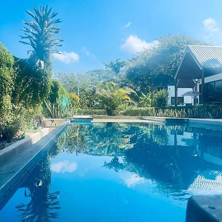 Villas Cabuya Beach & Jungle Dış mekan fotoğraf